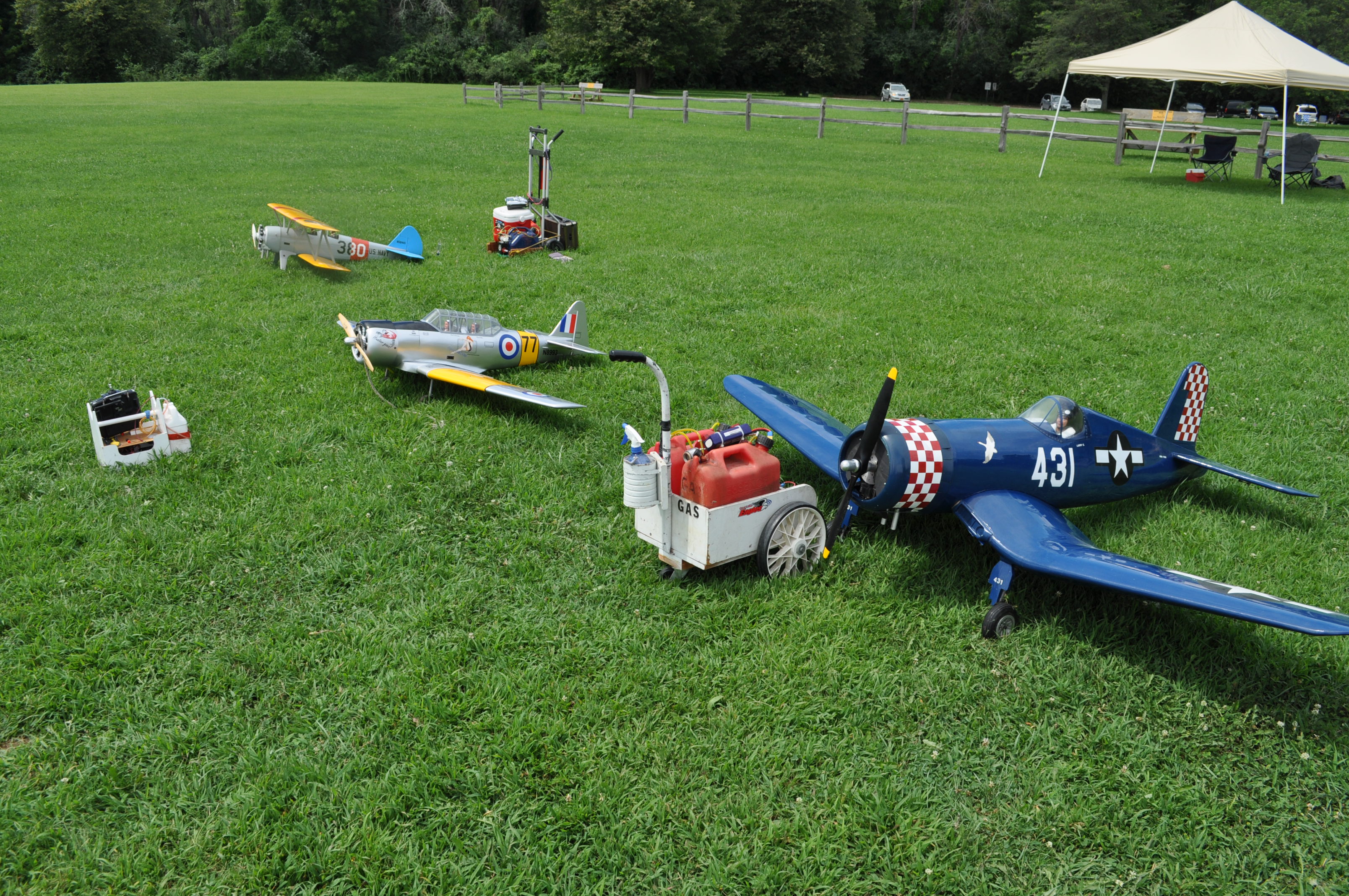 Year-end Picnic